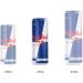 Red Bull Energy Drink 355 ml (24 pack) 355ml (Pack of 24) - Buy Online on SooperMarket.com