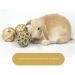 Camiter 9-Piece Chewing Toy Set for Small Animals | Hamsters Rabbits Guinea Pigs & More - Durable Chew Cases & Cube Toys - Buy Online on SooperMarket.com