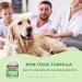 Hygea Natural Bed Bug Spray 128oz Gallon Refill - Effective Treatment for Bed Bugs, Dust Mites, Lice, and Fleas - Stain & Scent Free Formula - Safe for Children & Pets - Buy Online on SooperMarket.com