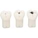 4-Fold Dental Caries Model - Synthetic Resin Oral Care Training Tool for Students | Safe & Realistic Simulation - Buy Online on SooperMarket.com