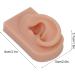 Silicone Right Human Ear Model for Jewelry Display and Piercing Practice - Dark Skin - Buy Online on SooperMarket.com