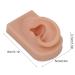 Silicone Ear Model for Piercing Training | Soft Flexible & Reusable Human Ear Display (Dark Skin Color) - International Shipping Available - Buy Online on SooperMarket.com