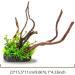 Buy Ctpeng Resin Aquarium Decoration Tree Trunk - Natural Sunken Wood Cave Ornament (23x15.5x11 cm) - Ideal for Fish Tanks - Buy Online on SooperMarket.com