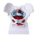 Women's Female Model with Pelvic Floor Muscle Model Natural Laboratory Size