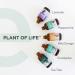 Plant of Life Essential Oil - 100% Pure and Natural - Therapeutic Grade Essential Oil with Dropper (Lavender 2 oz (60mL)) - Buy Online on SooperMarket.com