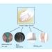 JHGCCL Thumb Eversion Bunion Corrector Night Use 1 Pair - Toe Separators for Overlapping Toes - Buy Online on SooperMarket.com