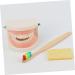 Frcolor Early Education Tooth Brushing Toy Set - Fun Children's Educational Toys for Teething & Dental Hygiene - Buy Online on SooperMarket.com