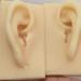 Human Ear Model Flexible Soft Silicone Imitation Real Ear Teaching Model -1 Pair Ear Mold Artificial Display Sample Educational Resources in Scienc - Buy Online on SooperMarket.com