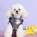 2 in 1 Dog Jacket with Harness for Small Dogs - Warm Outdoor Sports Vest Coat - XXL Silver - Buy Online on SooperMarket.com