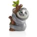New Hampshire Craftworks Lovable Sloth Ceramic Keepsake Kit - Buy Online on SooperMarket.com