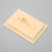 Silicone Ear Model Vivid Shape Durable Wearable Comfortable Soft Human Ear Model Glossy Texture Safe Practical for Teaching Demonstration(Left) - Buy Online on SooperMarket.com