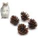 ACLUYSKA 21PCS Hamster Guinea Pig Toys | Small Animal Activity Chew Accessories | Apple Wood Ladder Bell Roller | Teeth Care for Dwarf Hamsters, Rats, Chinchillas, Gerbils, Bunnies - Buy Online on SooperMarket.com