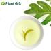 Plantgift Jasmine Dragon Pearls Tea 130g - Premium Green Tea & Oolong Blend - Best Jasmine Tea for a Soothing Experience | International Shipping - Buy Online on SooperMarket.com