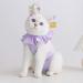 Yeapeeto Cat Recovery Suit | E-Collar Substitute for Cats | Prevent Licking Abdominal Wounds | Breathable & Warm After Surgery | Purple S - Buy Online on SooperMarket.com