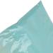 DIY Thermochromic Powder No Radioactivity Color Changing Pigment Powder for Nail Shop for Beauty Salon for Home(Bird green turns orange red Reindeer) - Buy Online on SooperMarket.com