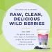 powbab Dried Wild Blueberries - 100% Whole, Unsweetened, Keto, Gluten-free, Vegan - Canada Grown, No Sugar Added, No Sunflower Oil or Apple Juice Concentrate, Sulfite Free - Buy Online on SooperMarket.com