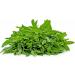 Spearmint Moroccan mint leaves 50g all natural Mentha spicata var. cripsa Dried loose Leaves. - Buy Online on SooperMarket.com