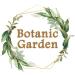 Botanic garden Pure Brahmi Sada Raw Herb | Bacopa Monnieri | Thyme-Leaved Gratiola - 100gms - Buy Online on SooperMarket.com