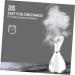 Healeved 2pcs Beauty Steaming Face Instrument Hot Spray Hydrating Facial Sprayer White - Buy Online on SooperMarket.com