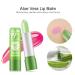 12PC Aloe Vera Lip Balm Set - Natural Color Changing Lipstick Moisturizing Gift for Girls - Buy Online on SooperMarket.com