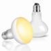 Caldarax 100W Terrarium lamp reptiles heat lamp basking spot 2 pieces E27 heat lamp Terrarium sunlamp uva reptile daylight lamp for turtles lizards barent tag seeds 100.0