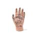 1 Pair of Human Human Body Hand Template PVC Model Chinese Hand Reflex Area Reflexology