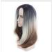 BGHJUE Halloween Wig - Long White Highlights Human Hair Weave Bundles with Closure | Brazilian Straight Non-Remy Hair Extensions - Buy Online on SooperMarket.com