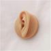 Silicone Ear Model - Human Ear Model Simulation - for Human Body Piercing Acupuncture and Moxibustion Ear Practice Ear Teaching - Buy Online on SooperMarket.com