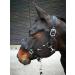 JF-Reitsport Cavesson Pro 2021 - 4-Way Adjustable Soft & Shock-Absorbing Padded for Warmbloods | International Shipping Available - Buy Online on SooperMarket.com