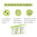 Buy Laxplum: Fermented Green Plum for Digestion - 90 Pieces | Perfect for Travel & Fasting - Buy Online on SooperMarket.com