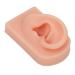 Socobeta Human Ear Model Flexible Comfortable Reusable Fake Ear Model Multi Purpose Easy to Use Right Ear for Earrings Display for Acupuncture Practical Training(Light Complexion)