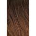 Sensationnel What Lace 13x6 Wigs - LATISHA Synthetic Wig Cloud 9 with Pre-Plucked Hairline HD Lace (T1B/30) - Shop Internationally for Quality Wigs - Buy Online on SooperMarket.com
