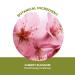 Yves Rocher Cherry Blossom cherry bloom Eau de toilette for Women Spray 100 ml./3.3 fl.oz. - Buy Online on SooperMarket.com