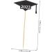 Vaguelly 30pcs 2022 2022 Cake Inserts Cake Ornament Cupcake Topper Capacillos Para Cupcake Graduation Cap Decorations Mini Paper Cups Graduation Cake Decor Baking Paper Bamboo Stick - Buy Online on SooperMarket.com