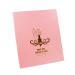 minkissy 216 Color Card Display Card Nail medium Pink