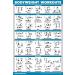Palace Learning 3-Pack - Resistance Tapes & Bodyweight Exercises Poster Set | 18x24 Laminated Training Tables for Home Workouts - Buy Online on SooperMarket.com