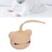 Bear Shaped Silicone Pacifier Storage Box for Newborns - Travel Holder & Accessories in Coffee Color - Buy Online on SooperMarket.com