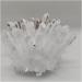 Home Decor 1pcs Natural Raw Quartz White Clear Crystal Cluster Stones Crystal Point Specimen Home Decoration Raw Crystals Mi Soothing Crystal Household Crystal Cluster (Size : 600-700g) - Buy Online on SooperMarket.com