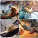 QUUPY 2 Reptile Hammock Set Triangle Breathable Net Breathable Mesh Lizard hammock for Large and Small Bearded Dragons Anoles Geckos Lizards or Snakes 33x33x48cm Black - Buy Online on SooperMarket.com