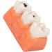 4-Fold Dental Caries Model - Synthetic Resin Oral Care Training Tool for Students | Safe & Realistic Simulation - Buy Online on SooperMarket.com