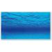 AMTRA MYSTIC - Aquarium poster background aquarium decoration decorative poster with double print format 60x150cm 60x150 cm - Buy Online on SooperMarket.com