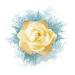 6 Sheets Temporary Tattoos Yellow Grunge Rose Paints Splashes Temporary tattoo Neck Arm Chest for Women Men Adults 3.7 X 3.7 Inch Rose Tattoo