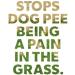 Dog Rocks - Urine Patch Preventer (200g) / Natural Dog Urine Neutraliser for Water Bowls Grass Repair Urine Burn Patch Repair 200 g (Pack of 1) - Buy Online on SooperMarket.com