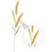 MAGICLULU Simulated Ears of Corn Artificial Wheat Ears Stalks Hand Decor Dry Wheat Grass Fruit Decor Home Decoration Wheat Decoration Wheat Ears Dried Flowers Paddy Iron Ornaments Golden 75.00X12.00X2.00CM - Buy Online on SooperMarket.com