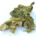 ALGENLADEN Organic Sea Lettuce Leaves 25g - Premium Raw Vegan Green Algae from the Atlantic | Healthy Superfood - Buy Online on SooperMarket.com
