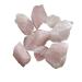 100g Natural Rough Pink Crystal Stone Rose Quartz Minerals Specimen Crystal Real Crystal Stone and Fish Tank Decor Pendant 2-4cm Pink