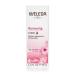 Weleda Renewing Face Lotion 1 Fluid Ounce - Plant Rich Moisturizer with Wild Rose, Jojoba, & Peach Kernel Oils - Buy Online on SooperMarket.com