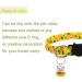 6 Pack Lucky Cat Collar Bells for Potty Training - White, Red, Yellow - Includes Free Clips & Key Rings - Buy Online on SooperMarket.com