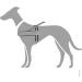 HUNTER RACING Norwegian Harness L-XL (82-105 cm) - Grey/Black | Best International Shipping Available - Buy Online on SooperMarket.com