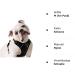 Eagloo Large Dog Harness - Adjustable No-Pull Chest Harness with Reflective Strips for Labrador - Anti-Train Control Black (1 Pack) - Buy Online on SooperMarket.com